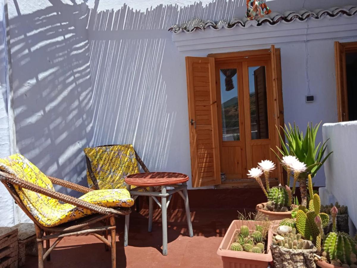 Vallparadis Pension Familiar" Firdaus" Chefchaouen Exterior photo